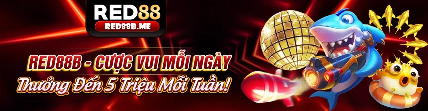 Hình ảnh chính blog f168y